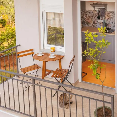 Апартаменты Casa Mediterranea Медулин