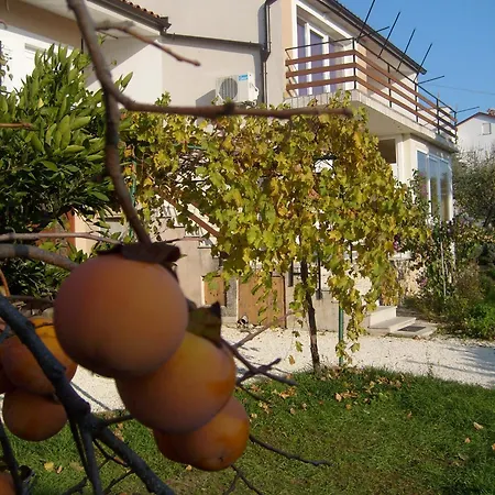 Apartment Bernic Medulin